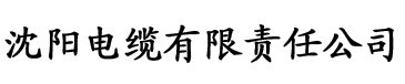 AVGO短视频电缆厂logo